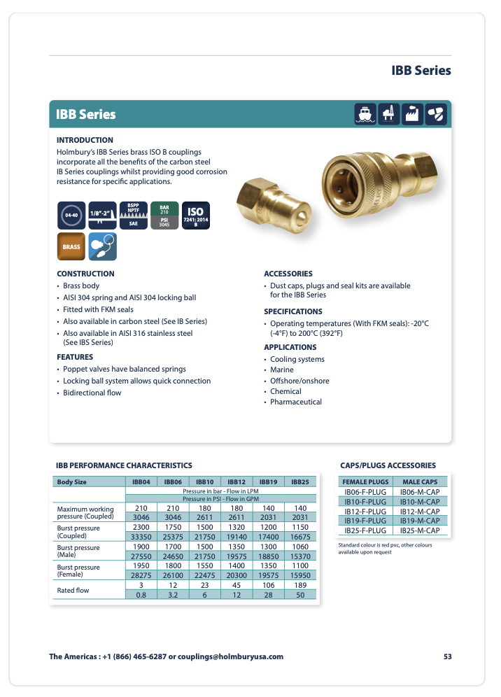 IBB Series Couplings